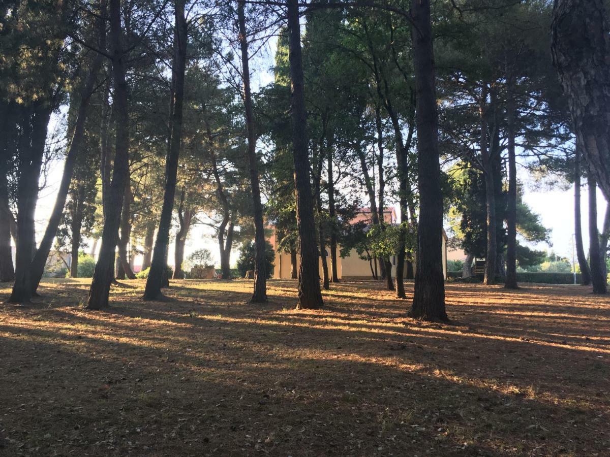 Pribetic Apartments Poreč Kültér fotó